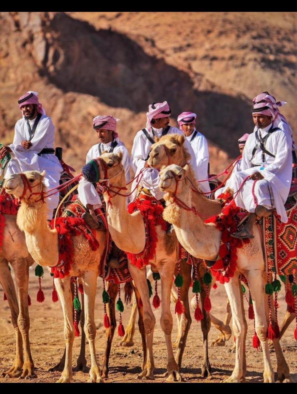 Hotel Mozoon camp Wadi Rum Esterno foto