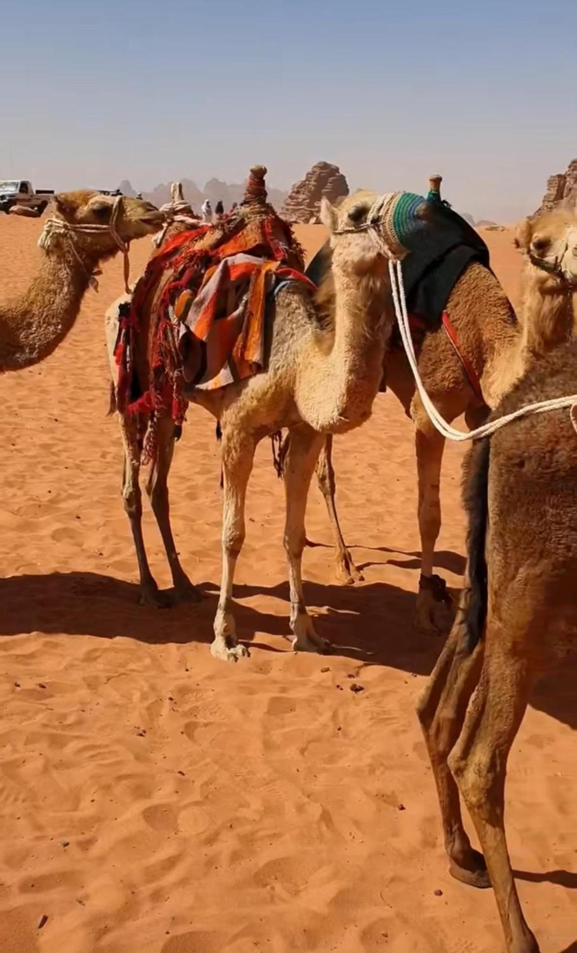 Hotel Mozoon camp Wadi Rum Esterno foto